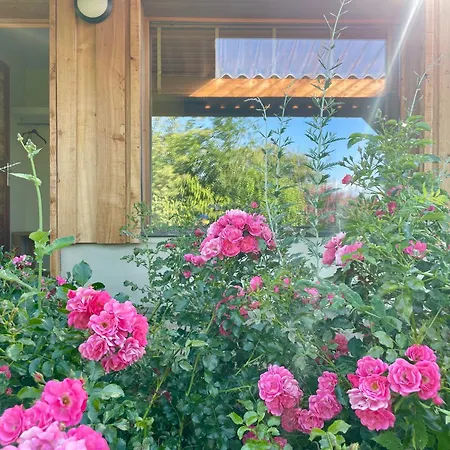 De Groupe Et L'agnel 3*